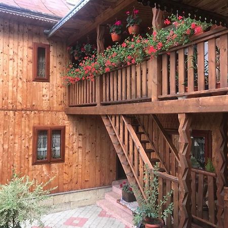 Pensiunea Agroturistica Casa Colinita Vatra Moldoviţei Exterior foto