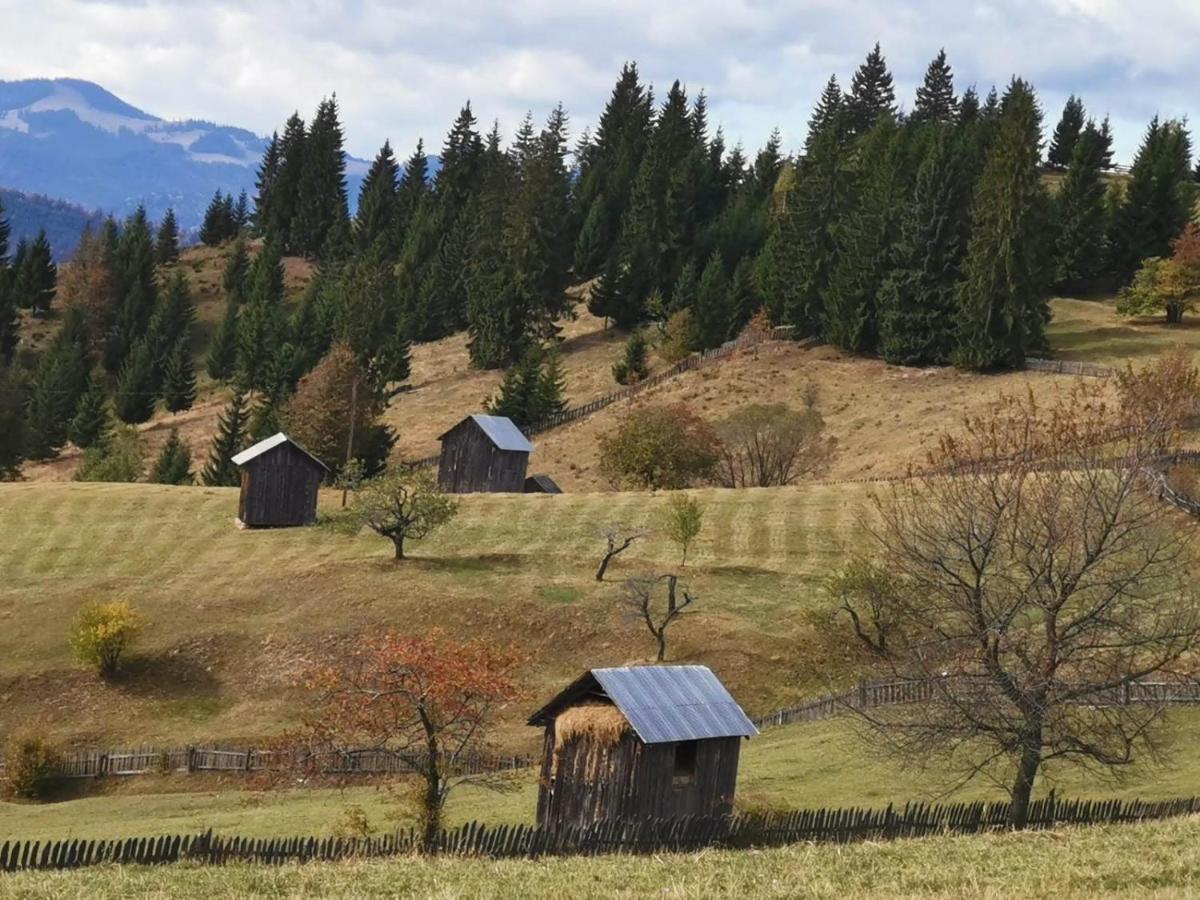 Pensiunea Agroturistica Casa Colinita Vatra Moldoviţei Exterior foto