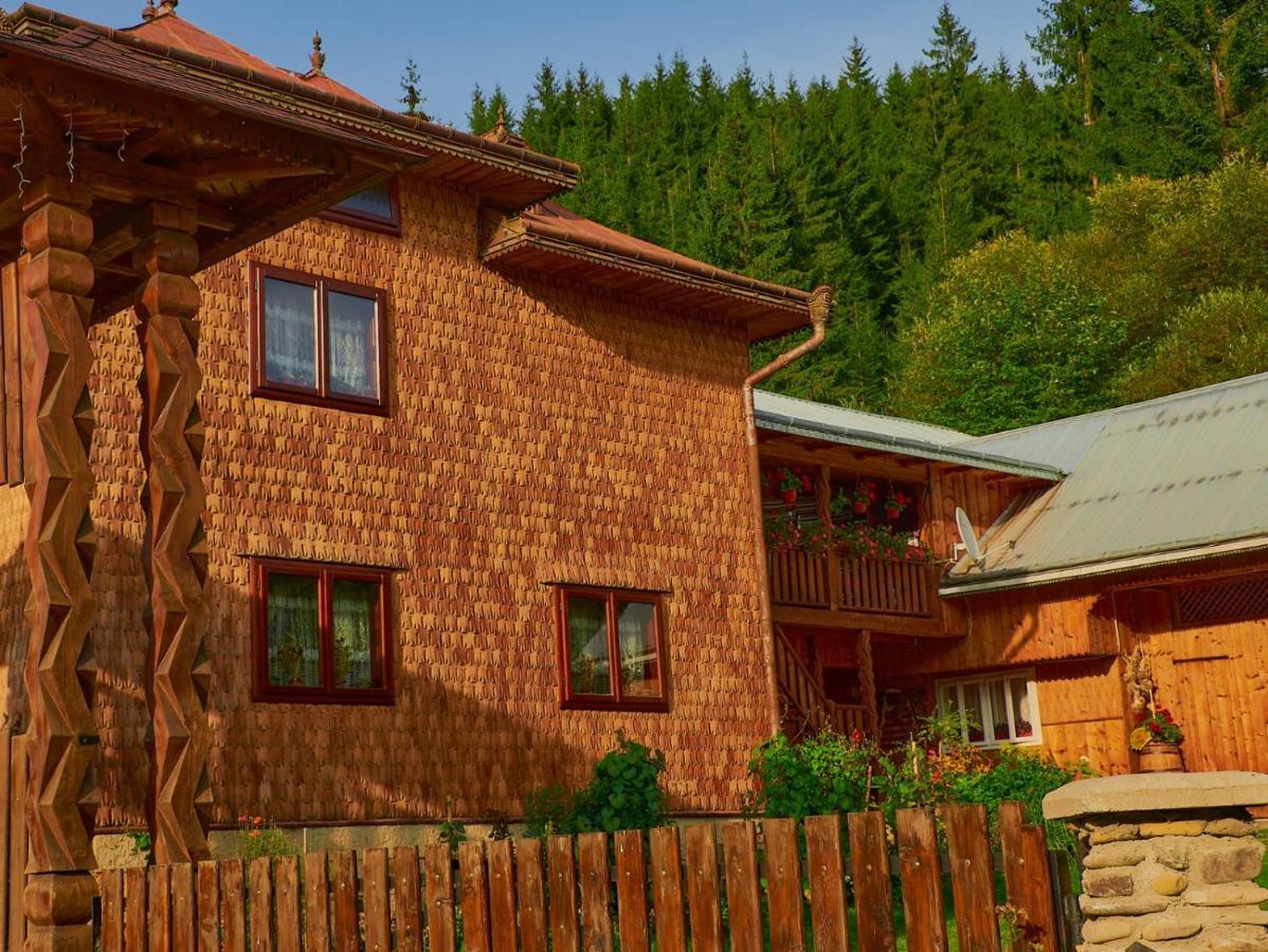Pensiunea Agroturistica Casa Colinita Vatra Moldoviţei Exterior foto