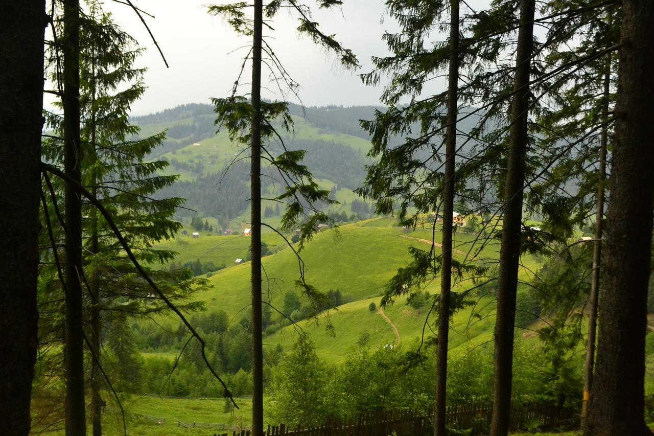 Pensiunea Agroturistica Casa Colinita Vatra Moldoviţei Exterior foto